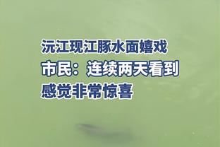 ?亚运会男子4×100米自由泳接力：中国军团破亚洲纪录摘金！